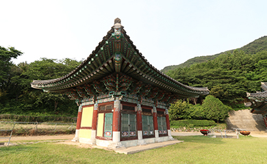 사업영역